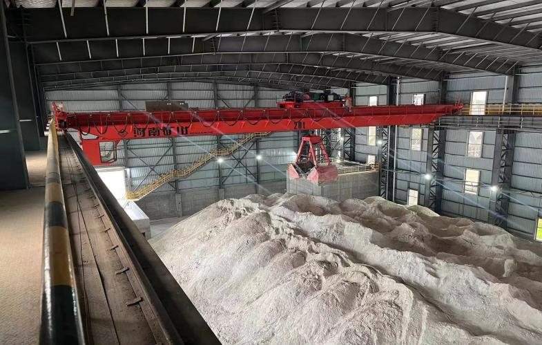 Intelligent control system for grab crane